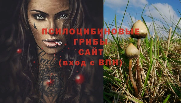 2c-b Верея