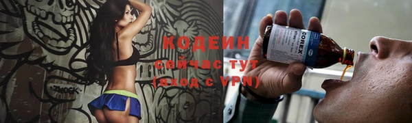 Альфа ПВП Бородино