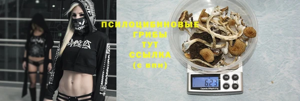 2c-b Верея